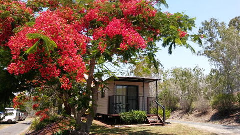 Mt Larcom Tourist Park - Sydney 4u 0