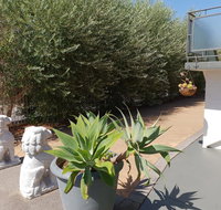 Mt.Lawley superb 2 BR Apartment Ideally located 5 - Accommodation Sydney