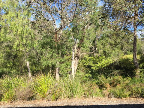 Cape Villas Dunsborough Unit 2 - Sydney 4u 26