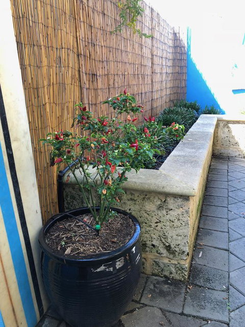 BeachHideaway@Scarborough - Accommodation Sydney 33