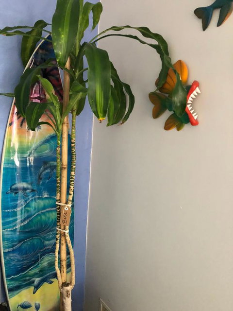 BeachHideaway@Scarborough - Accommodation Sydney 28