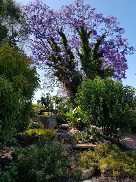 Jacaranda Hideaway Bed & Breakfast - Sydney 4u 10