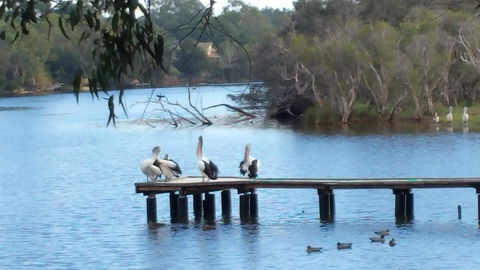 Jacaranda Hideaway Bed & Breakfast - Sydney 4u 18