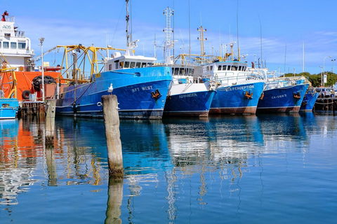 Gallery Serviced Apartments - Accommodation Sydney 27