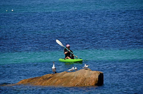 Sandpiper Retreat - Accommodation Sydney 29