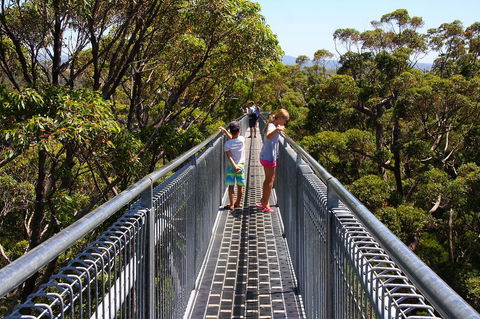Bayside Villas - Sydney 4u 16