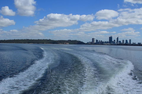 Midgard Cottage - Great Location & Close To Airport - Sydney 4u 33
