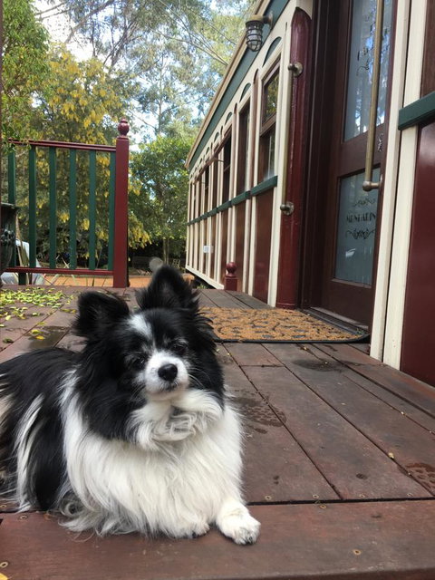 Quiet Escapes Cottages - Accommodation Sydney 15