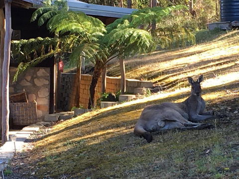 Kangaroo Valley Cottage - Sydney 4u 3