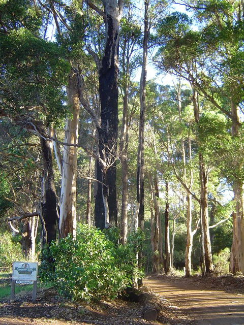 Kangaroo Valley Cottage - Sydney 4u 21