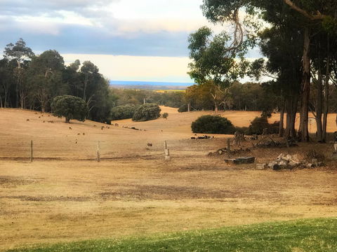 For The Birds Yallingup - Sydney 4u 28