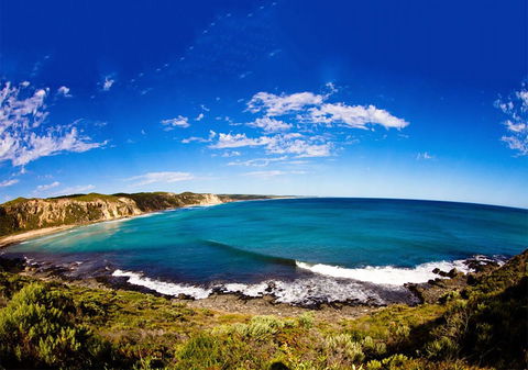 For The Birds Yallingup - Sydney 4u 31