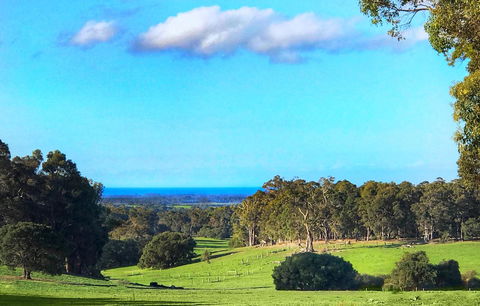 For The Birds Yallingup - Sydney 4u 2