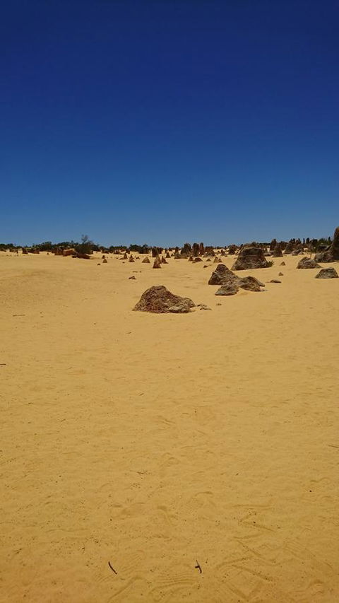 The Bothy Lancelin Family Retreat - Sydney 4u 35