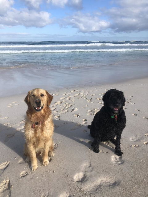 The Bothy Lancelin Family Retreat - Sydney 4u 32
