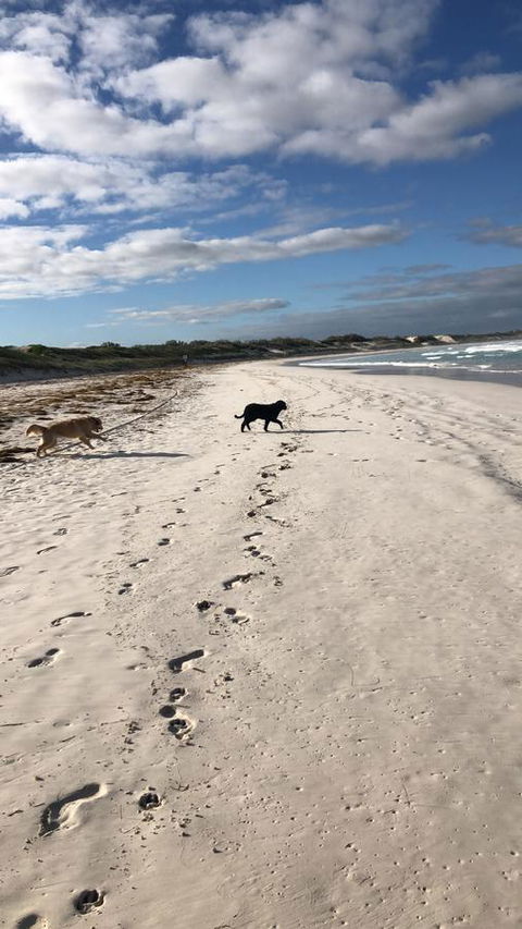The Bothy Lancelin Family Retreat - Sydney 4u 30