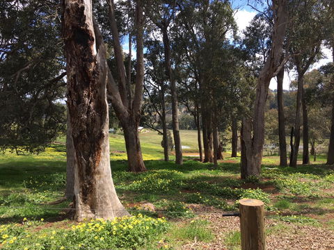 Tegwan's Nest Holiday Home - Sydney 4u 28