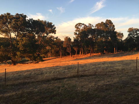 Tegwan's Nest Holiday Home - Sydney 4u 18