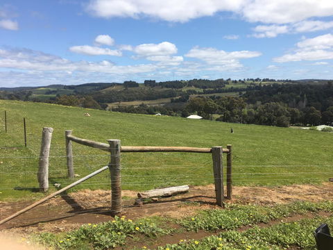 Tegwan's Nest Holiday Home - Sydney 4u 39