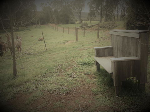 Tegwan's Nest Holiday Home - Sydney 4u 43