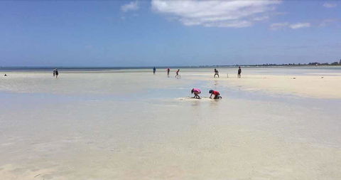 Beach House Dunsborough - Sydney 4u 22