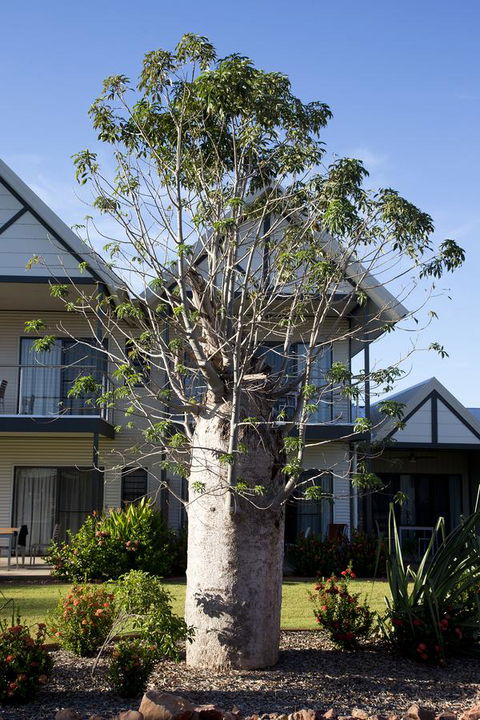 Freshwater East Kimberley Apartments - Sydney 4u 18