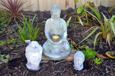 Palms Bed & Breakfast - Sydney 4u 22