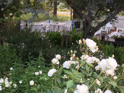 Applegate Lane Chalet - Sydney 4u 22