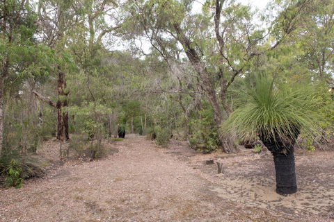 53 Martina Drive - Sydney 4u 30