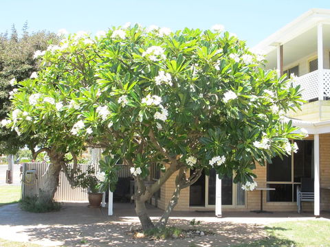 Kalbarri Riverfront Unit - Sydney 4u 6