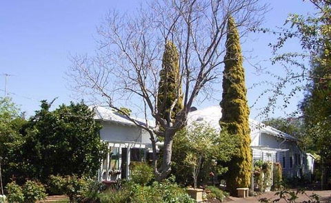 Jacaranda Guest House - Accommodation Sydney 37