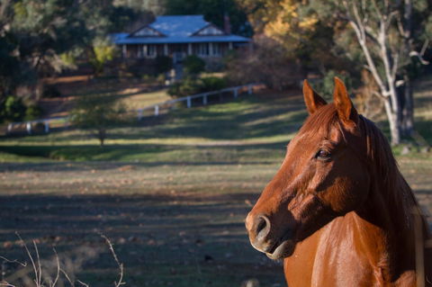 Historic Oakhill House Entire Estate - Sydney 4u 9
