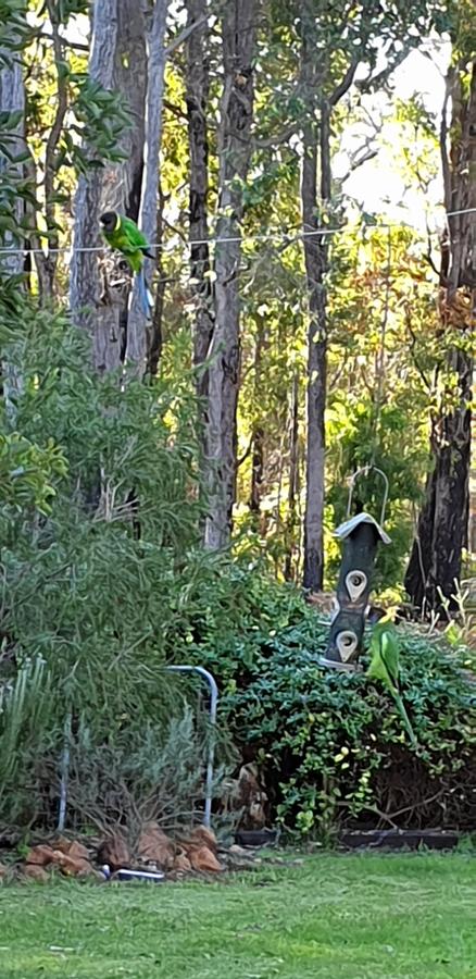 Di's Cabin In Dwellingup - Sydney 4u 6