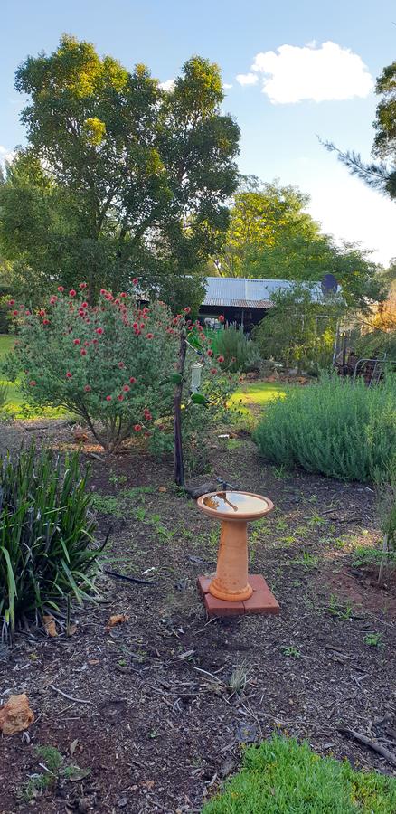 Di's Cabin In Dwellingup - Sydney 4u 14