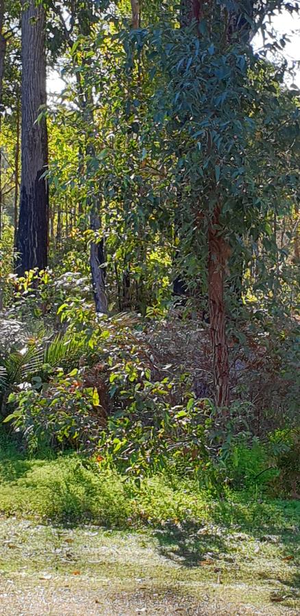 Di's Cabin In Dwellingup - Sydney 4u 8