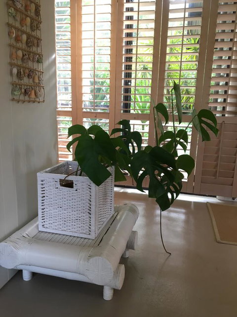 DESIGNER'S STUDIO - Accommodation Sydney 5