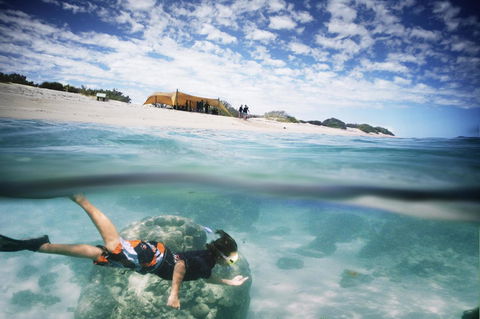 Sal Salis Ningaloo Reef - Sydney 4u 16