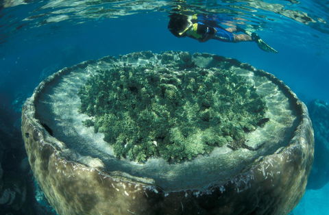 Sal Salis Ningaloo Reef - Sydney 4u 8