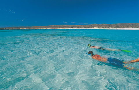 Sal Salis Ningaloo Reef - Sydney 4u 9