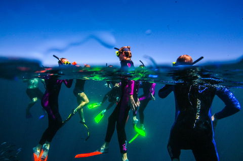 Sal Salis Ningaloo Reef - Sydney 4u 26