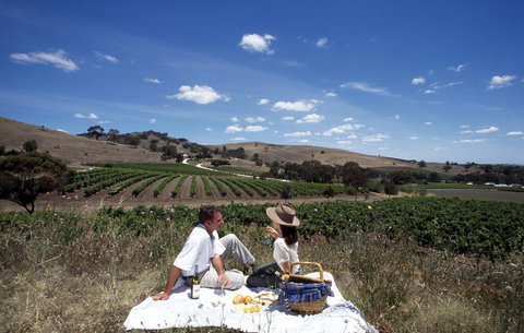 Sienna Lodge - Accommodation Sydney 36