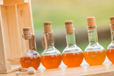 Sienna Lodge - Accommodation Sydney 27