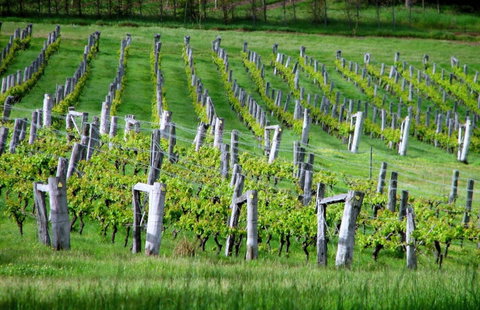 Sienna Lodge - Accommodation Sydney 13