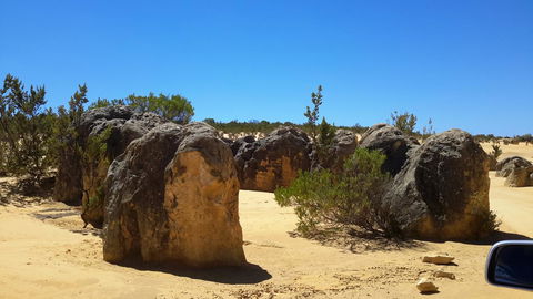 Jurien Beachfront Holiday Units - Sydney 4u 29