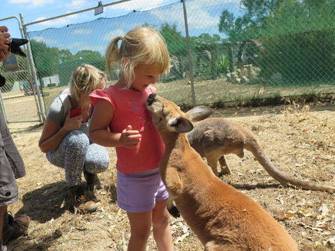 Jurien Beachfront Holiday Units - Sydney 4u 36