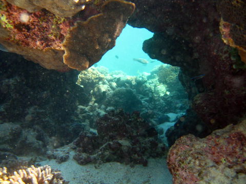 Ningaloo Coral Bay â€“ Bayview - Sydney 4u 4
