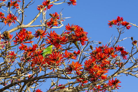 Como Executive Apartment - Accommodation Sydney 19