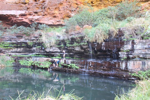Tom Price Tourist Park - Sydney 4u 32