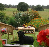 Silversprings cottages - Accommodation Sydney