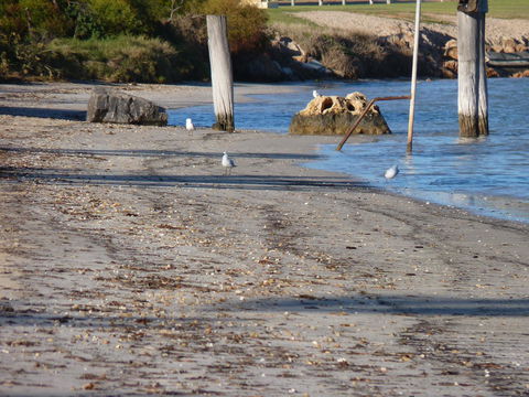 Leander Reef Holiday Park - Accommodation Sydney 6